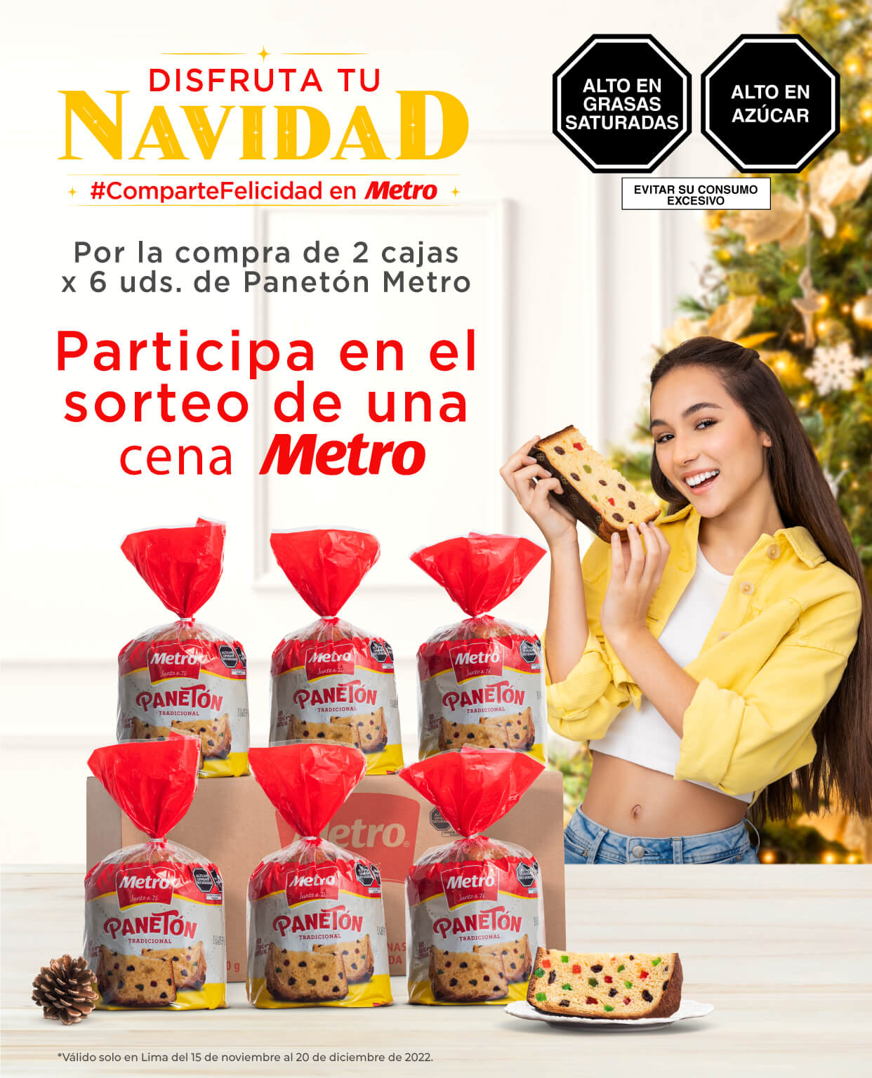 Catálogo Especial Navidad Metro