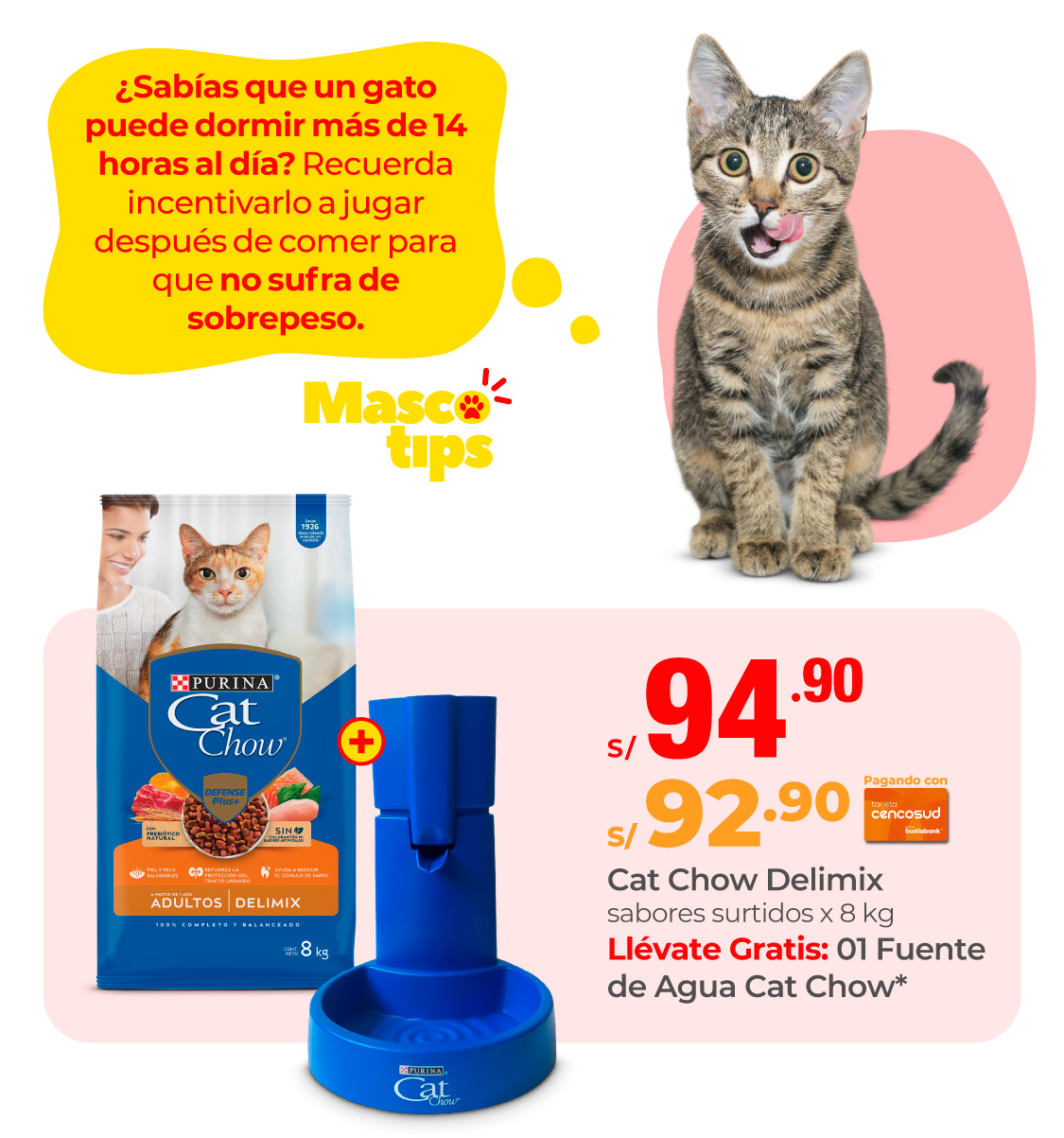 cat chow