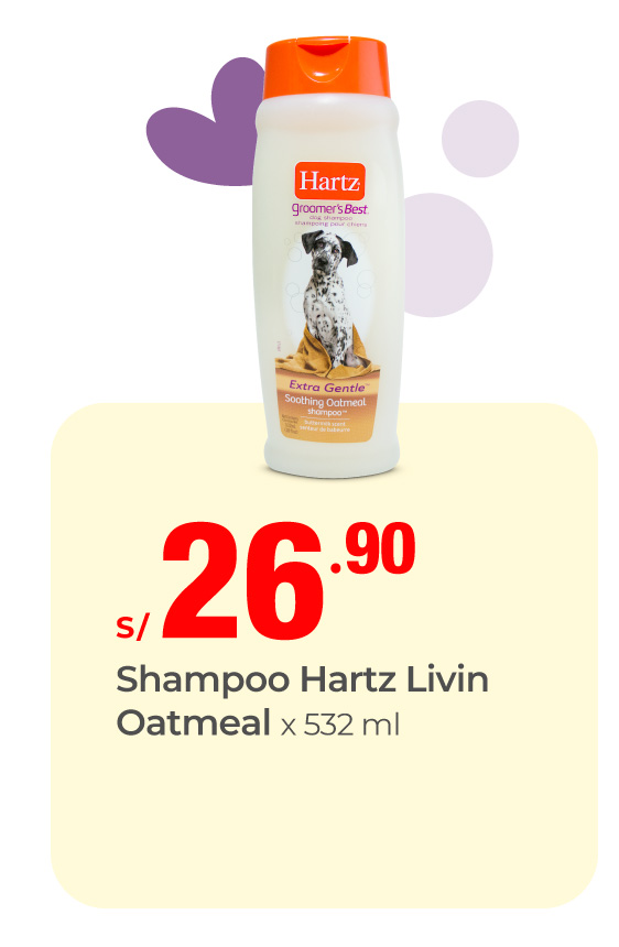 shampoo hartz