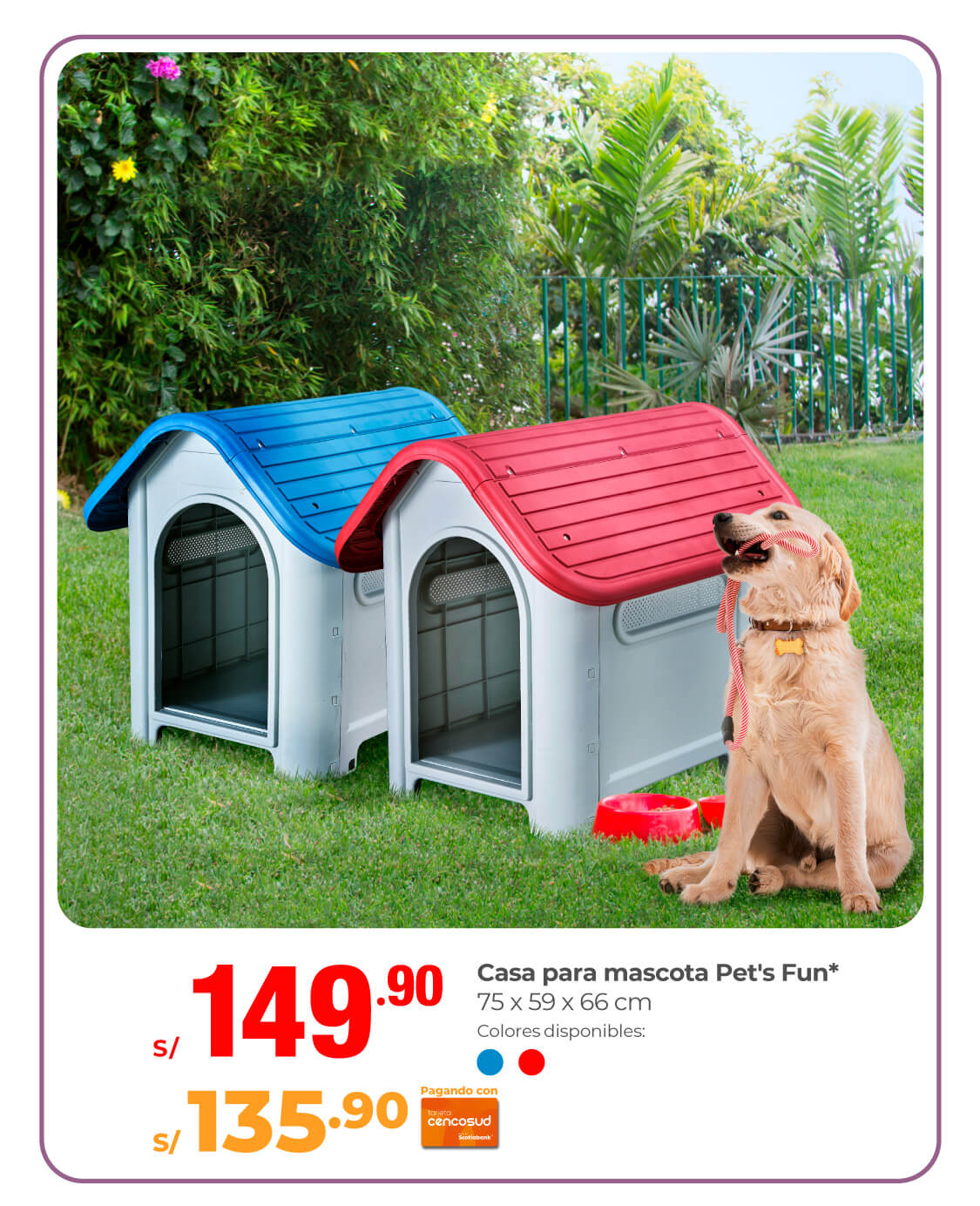 casa pets fun