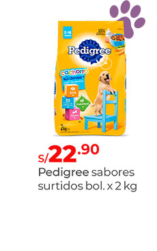Alimento para perro
