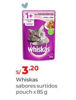 Alimento para gatos