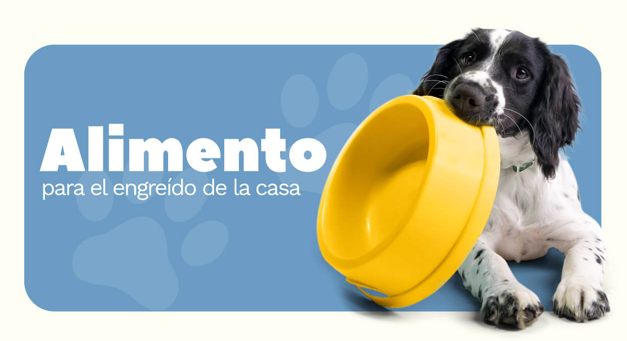 catalogo-mundo-mascotas-2023