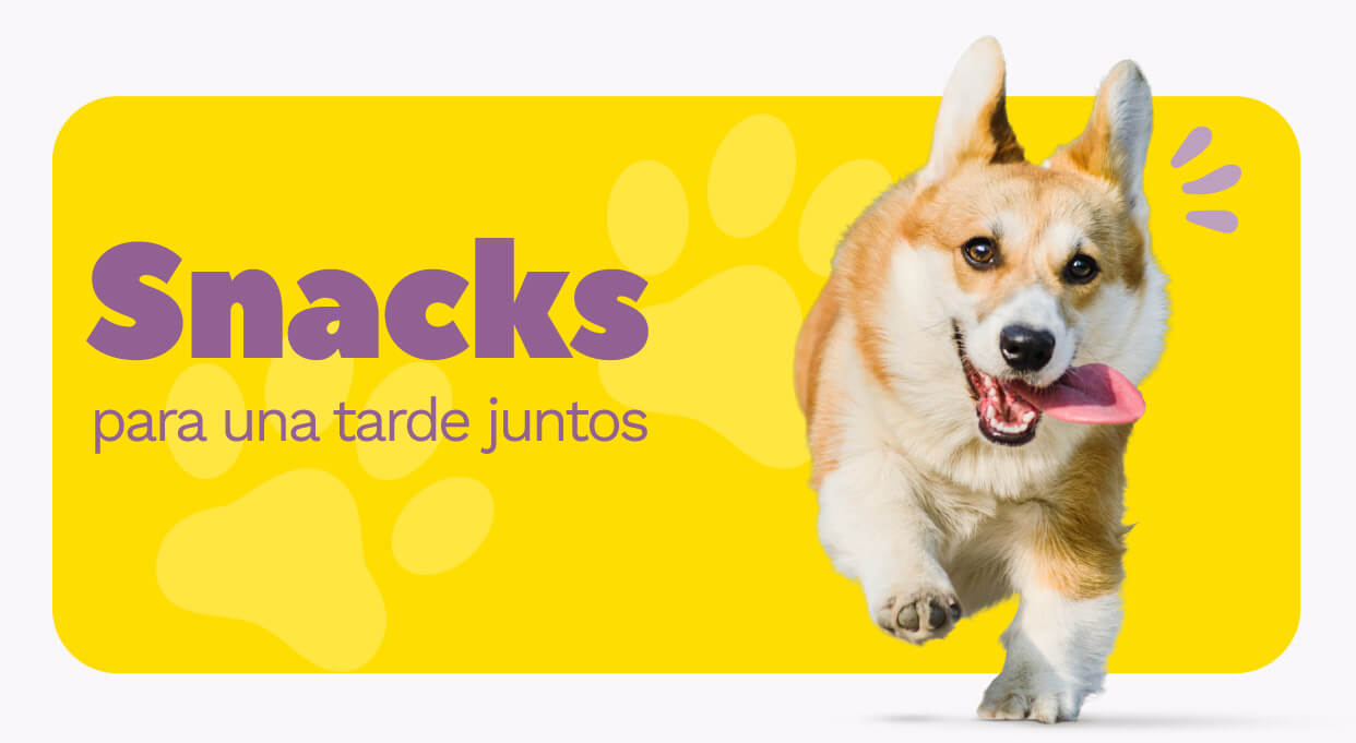 catalogo-mundo-mascotas-2023