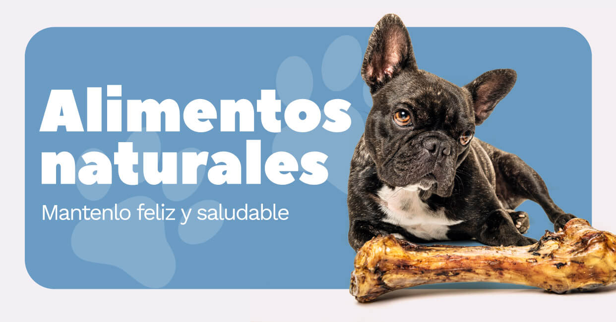 catalogo-mundo-mascotas-2023