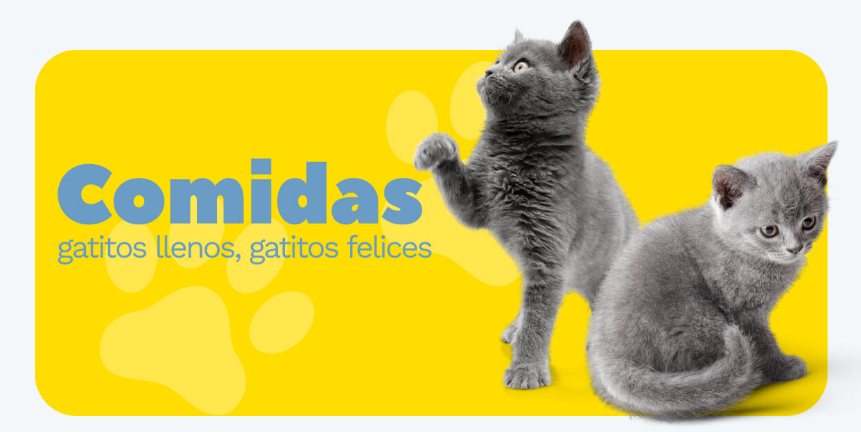 catalogo-mundo-mascotas-2023