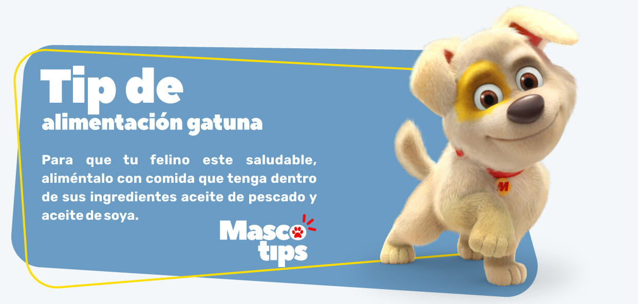 catalogo-mundo-mascotas-2023