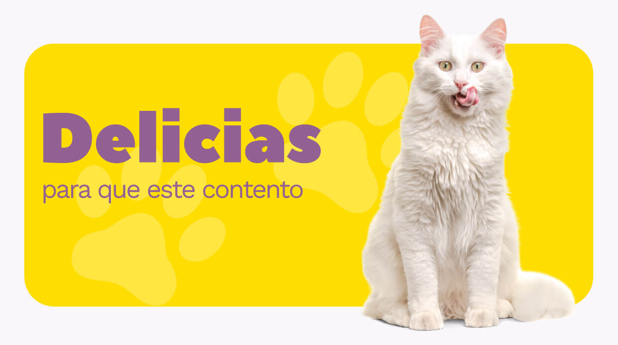 catalogo-mundo-mascotas-2023