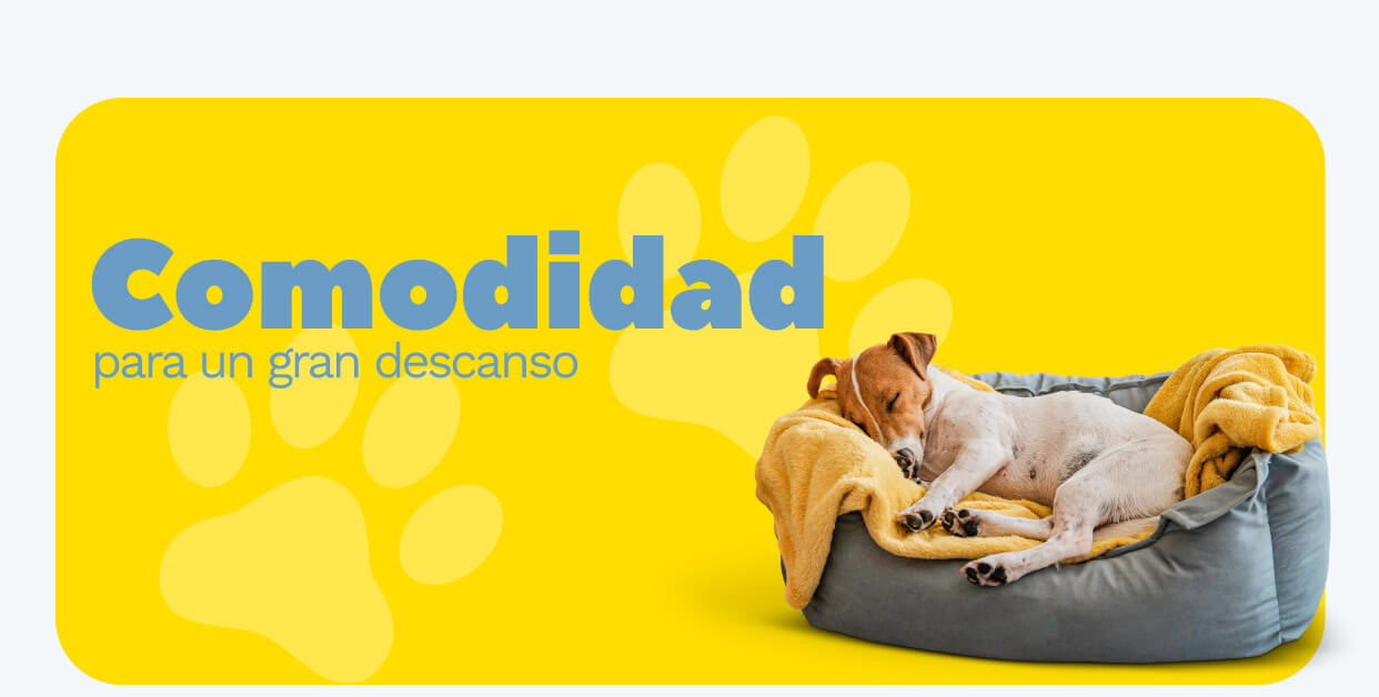 catalogo-mundo-mascotas-2023